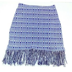 Zara Fringe Skirt